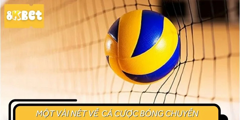 Một vài nét về hình thức cá cược bóng chuyền