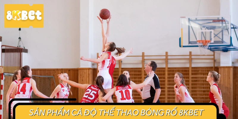 Những điều bạn nên biết về bổ môn thể thao đồng đội