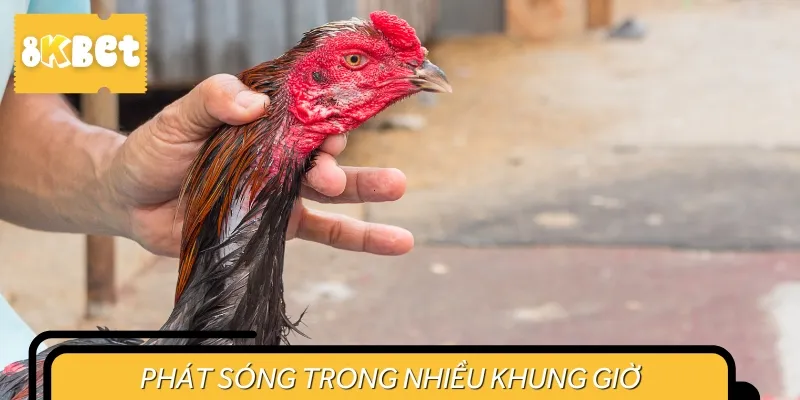 Hiện nay, giải đấu này còn phát sóng ở nhiều khung giờ