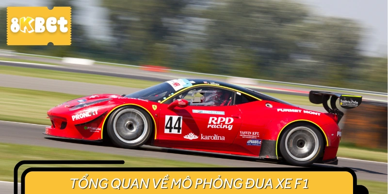 Bạn hiểu gì về cuộc so tài F1 đua xe đình đám